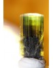 Tri-color Turmalin-Kristall, klar/grün/braun