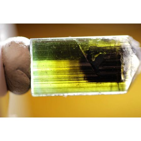 tricolor Turmalinkristall-Doppelender