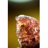 skelettierter bicolor Turmalinkristall, Rubellit