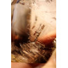 Bergkristall+Rauchquarz+Phantome-Energiekristall
