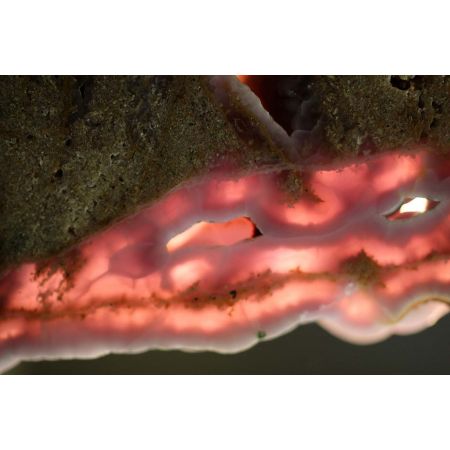 Koralle+rosa Chalcedonscheibe