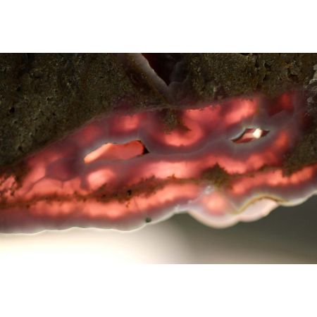 Koralle+rosa Chalcedonscheibe