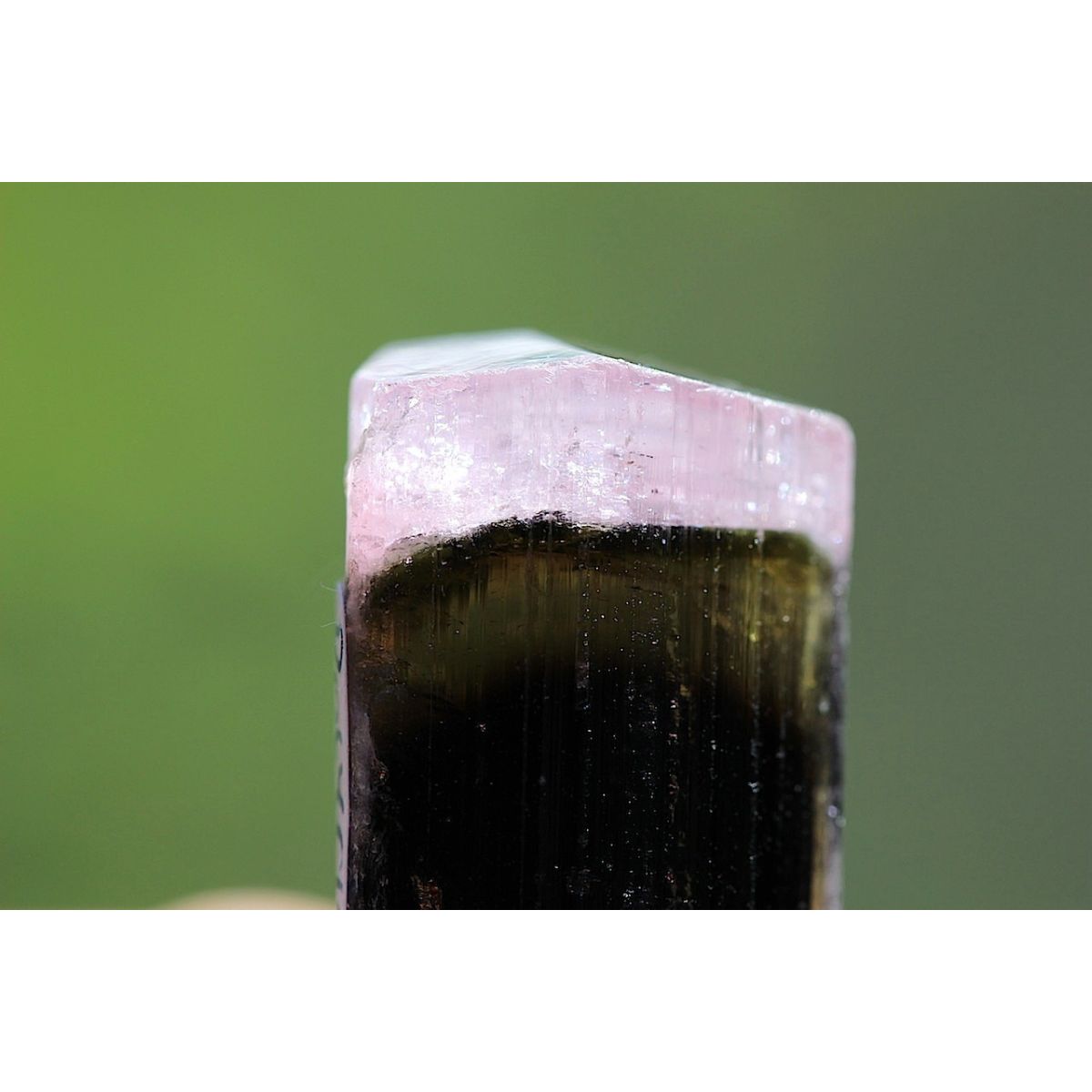 Turmalin, 3-farbig - Anhänger 