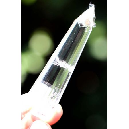 Bergkristall-Lemuria-24 Facetten-Vogel-Energie-Shifter