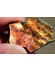 Opaleszierender Ammonit `PLACENTICERAS` (Stein für Mutter und Kind)