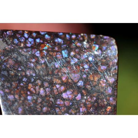Opaleszierender Ammonit `PLACENTICERAS` (Stein für Mutter und Kind)