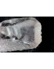 Skelettierter Bergkristall - Kometen - Krater - Energiekristall (Feuer u. Schlüssel des Geistes+Weltenseele)