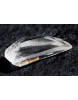Kolumb. Lemuria Samen Quarz - Zeitsprung - Trigonic - Energie - Kristall (Lichtarbeit - Botschaft des Friedens und der Weisheit)