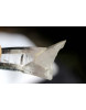 Kolumbianischer Lemuria  - Laser - Doppeltrigger - Energiekristall (alternative Lichtarbeiter)