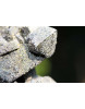 Dragonstones-Epidot-Magnetit-Schamanen-Energie-Kristalle (hochenergetisches-Paar)  (Transformationsenergie)