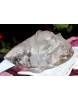 Bergkristall-Lodolith mit Einschlüssen-Phantom-Rainbow-Energie-Schädel (und Mütze) / Schlüssel zur Weisheit