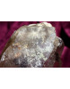 Rauchquarz-Krieger-BLITZ-Krater-Schöpfer-Energie-Kristall (Lichtarbeit - Weltenseele)