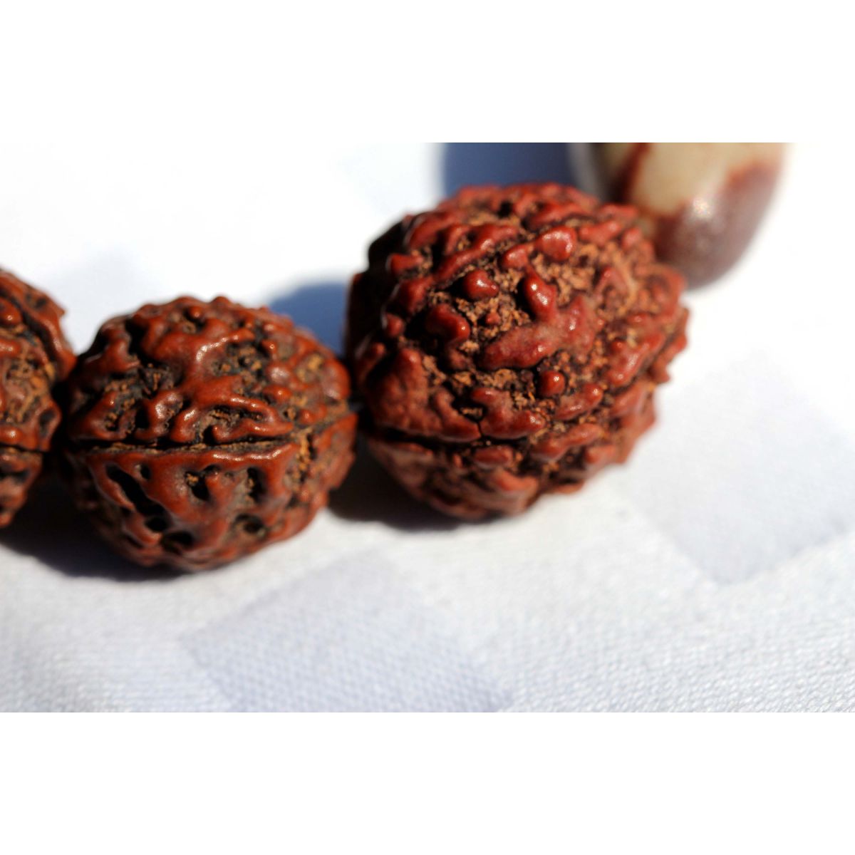 Rudrakshas + Shiva-Lingam-Energie-Armband (Shivas Tränen)