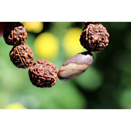 Rudrakshas + Shiva-Lingam-Energie-Armband (Shivas Tränen)