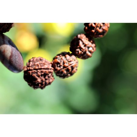 Rudrakshas + Shiva-Lingam-Energie-Armband (Shivas Tränen)