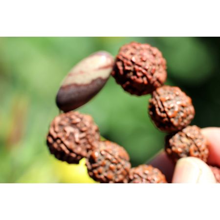 Rudrakshas + Shiva-Lingam-Energie-Armband (Shivas Tränen)