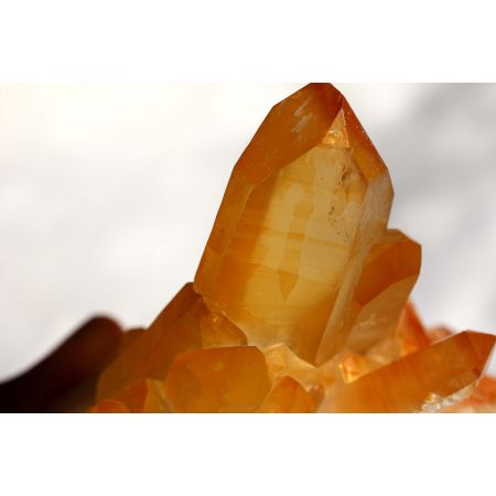 BK Golden Healer-Centerquarz-Trigger-Lemurian-Energie-Kristallstufe (das goldene Licht)