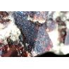 5er Granat-Varietät Almandin-Energiestufe (Verbindung Seele und Geist)