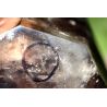Urwasser-Rauchquarz-Elestial-Phantom-DEVA-ISIS-Energiekristall (starke Erdung Mutter Erde)