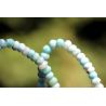 Larimar-Rondelle-Energie-Kette - Atlantisstein -