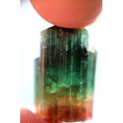 Watermelon-Tourmaline-Tricolor-Turmalin-Energie-Kristallaggregat (Reichtum des Lebens)