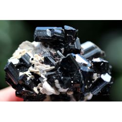 Turmalin schwarz Var. Schörl xx, Muskovit Glimmer xx, Schamanen-Energiekristallstufenaggregat (Unterstützung)
