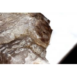 Elestial-Rauchquarz-DOE-ZEPTER-2xUrwasserlibellen-Energie-Kristall (in Zeiten der Wandlung und Transformation)