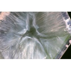 Trapiche-Salazarit-Quarz-Super-Phantom-Energie-Kristall (Der Schritt in die Glücklichkeit)
