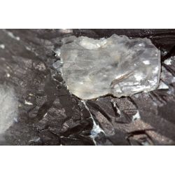 Skelettierter dunkler Urwasser-Rauchquarz-Elestial-Trigonic-Schöpfer-Krater-Energiekristallstufe