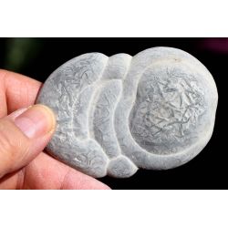 Kanadischer Fairy Stone, Indianer-Schamanenstein (kraftvolle Begleiter)