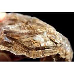 Elestial Bergkristall-mehrf. Doppelender-DEVA-Trigonic-Kathedral-Schwimmer-Energiekristall