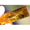 Goldberyll Var. Heliodor-Energie-Einzelkristall (Wächter der Sonne)