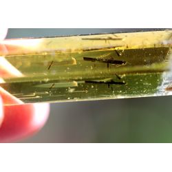 Goldberyll Var. Heliodor-Energie-DOE Doppelenderkristall (Wächter der Sonne)