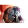 Kämmererit Varietät Klinochlor Energiekristallkugel (Wachstum der Seele / Kontakt zu Engelhaften Wesen)