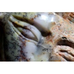 Dendritenopal-Gelber Opal-Energie-Kristall (bringt im Ritual Kontakt zum Ältestenrat) selten
