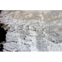 "Eisquarz"-Epimorphose von Feldspat auf Bergkristall xx-Artischocken-Energie-Kristall für Klarheit und Licht in Geist und Seele